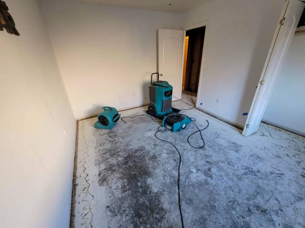 Best Sewage cleanup and water damage restoration  in India Hook, SC