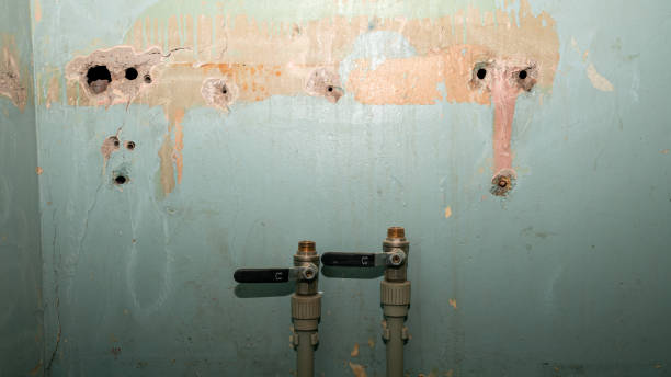 Best Water damage contractors near me  in India Hook, SC