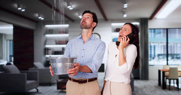 Best Water damage restoration specialists  in India Hook, SC